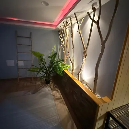 Apartamento Le Scharrach