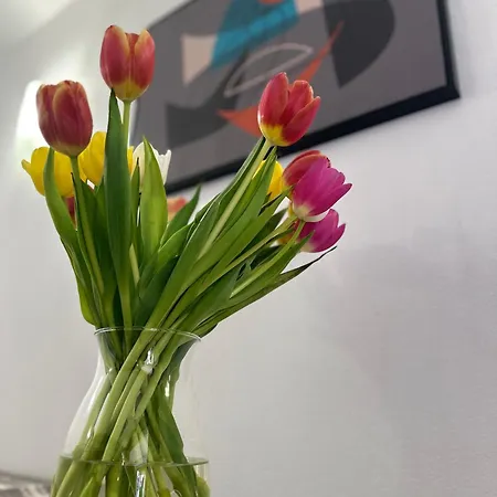 Le Scharrach Apartamento