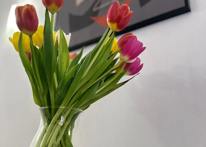 Le Scharrach Apartment